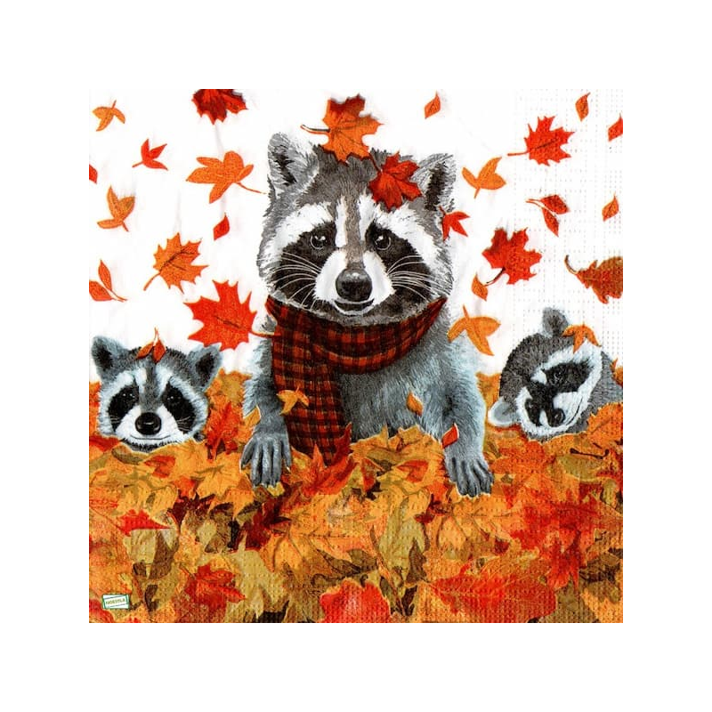 1 serviette Les Ratons Laveur-45