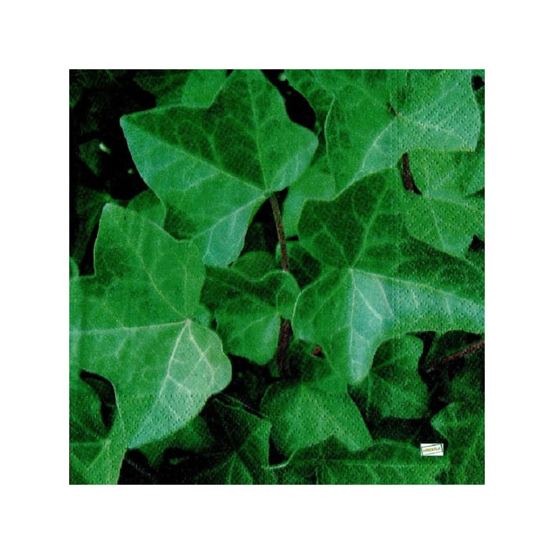 1serviette papier Lierre-5