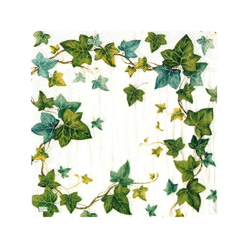 1serviette papier Lierre-6