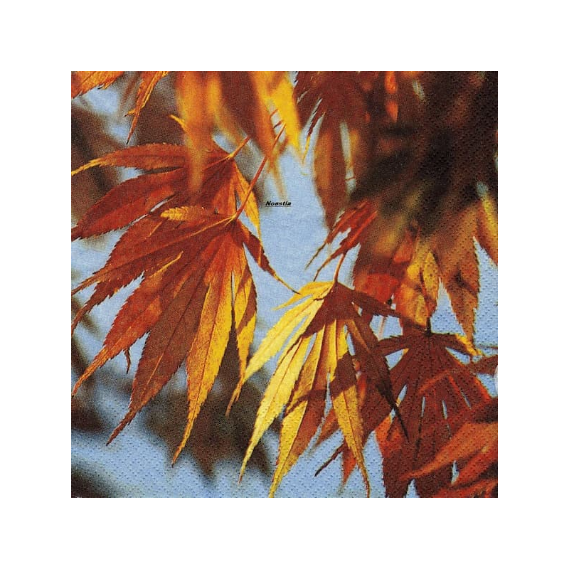 1serviette papier Feuillage-15