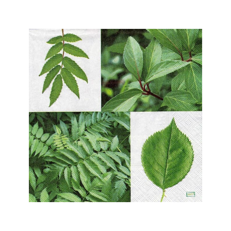 1serviette papier Feuillage-27