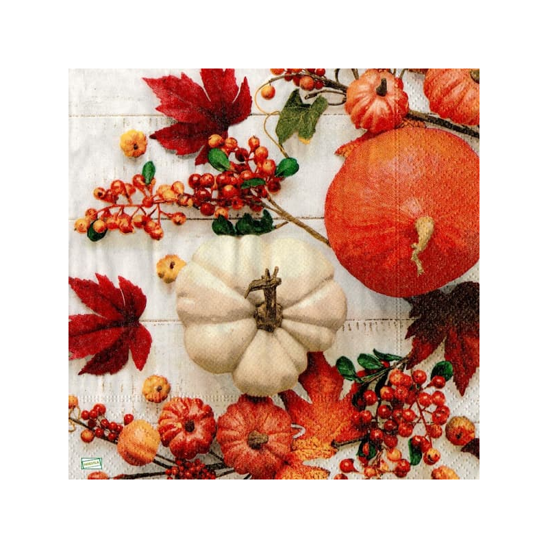 1serviette papier Feuillage-30