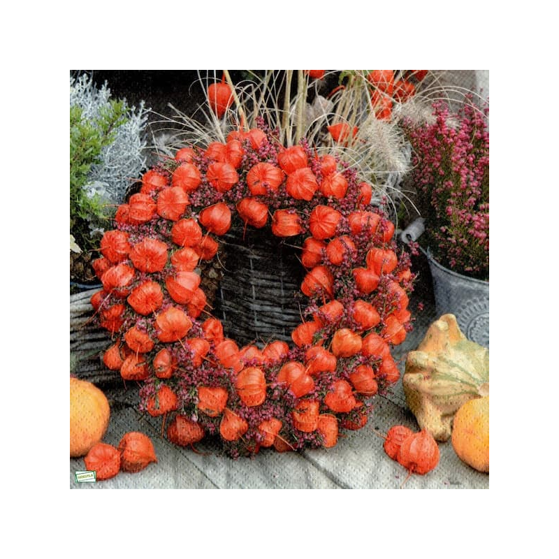 1serviette papier Feuillage-39