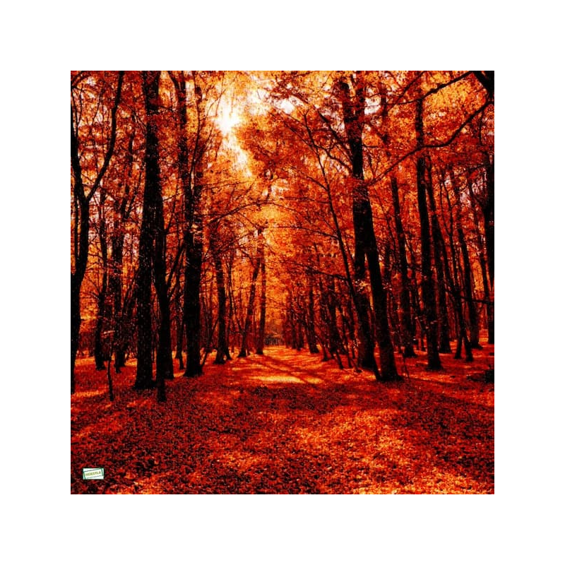 1serviette papier Feuillage-45