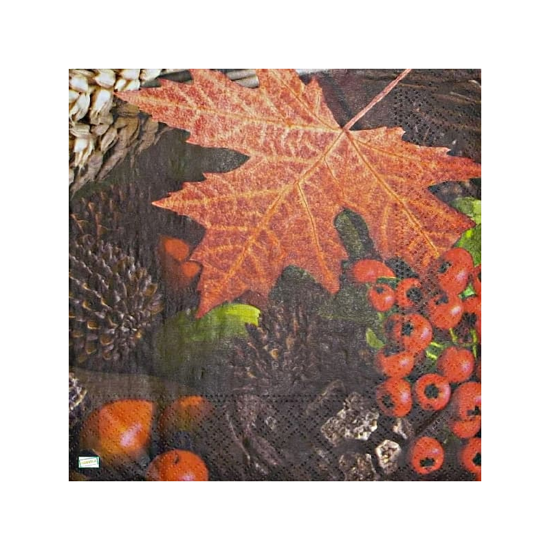 1serviette papier Feuillage-50