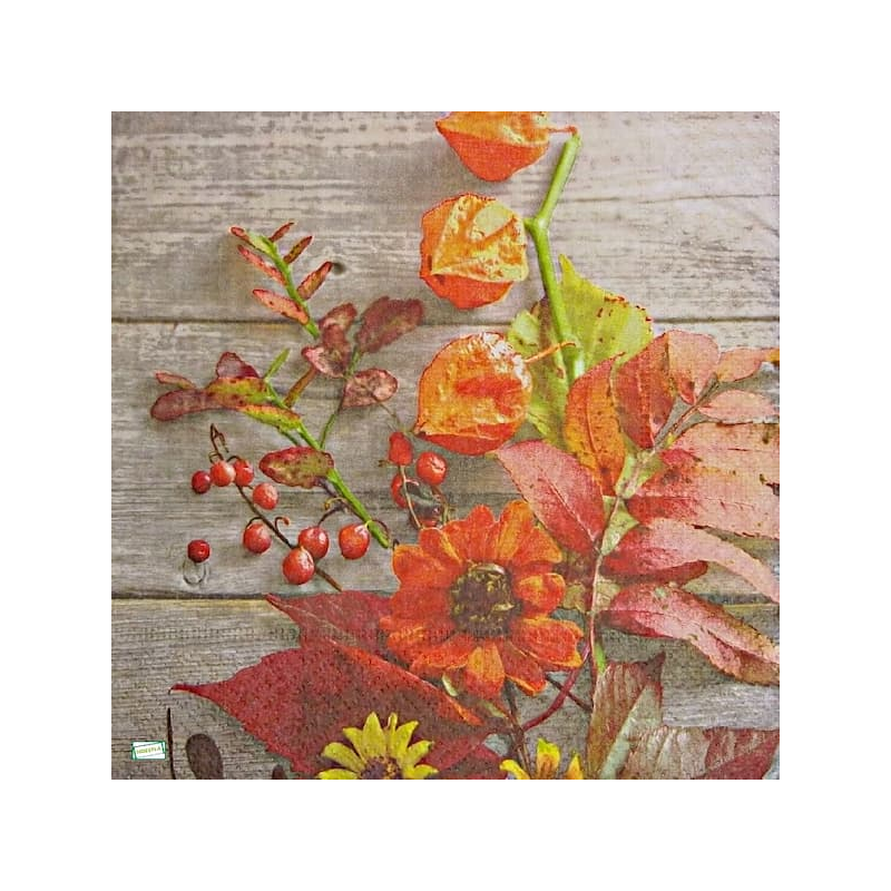 1serviette papier Feuillage-51