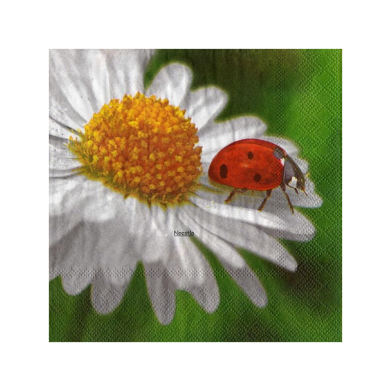 1 serviette Coccinelles -51