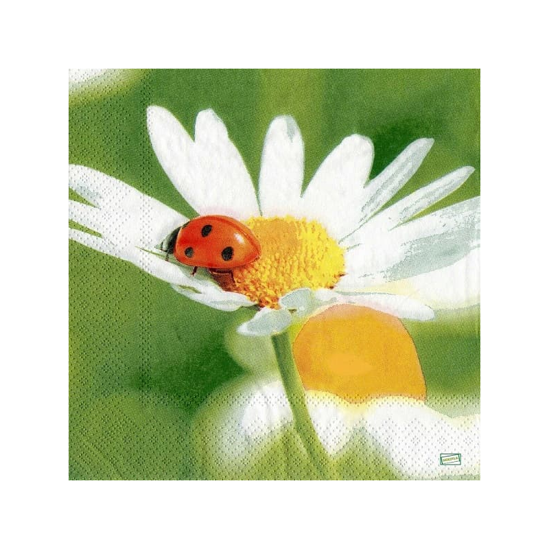 1 serviette Coccinelle -81