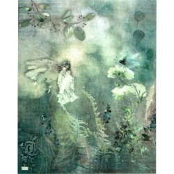 1 papier de riz Fées -R1735