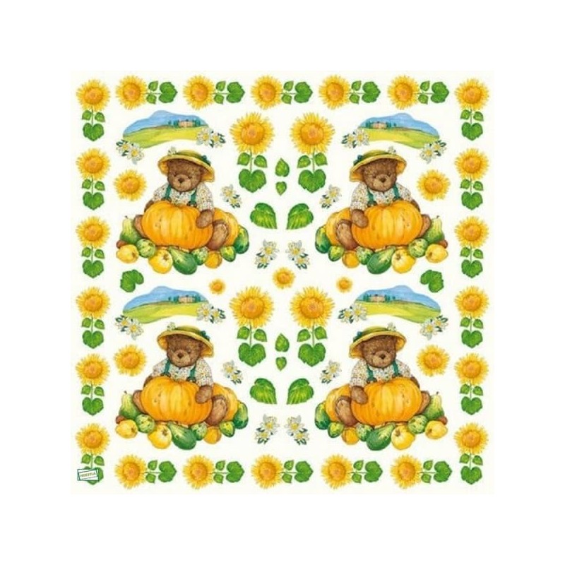 1GRAND papier riz Oursons-STA9