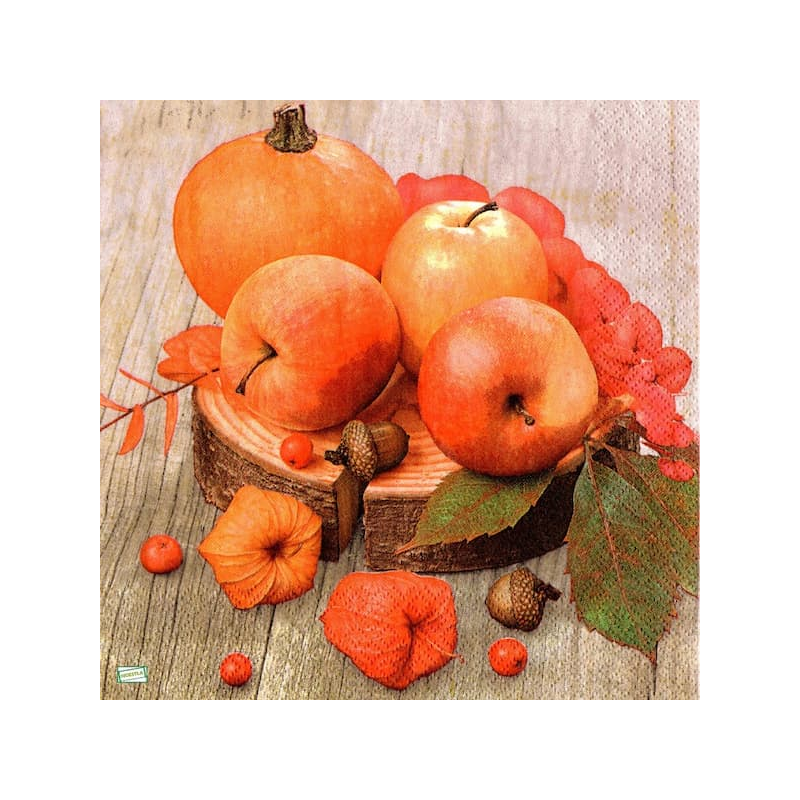 1 serviette Les Pommes-28