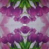 1 serviette papier Tulipes-10