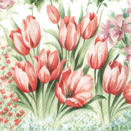 1 serviette papier Tulipes -26