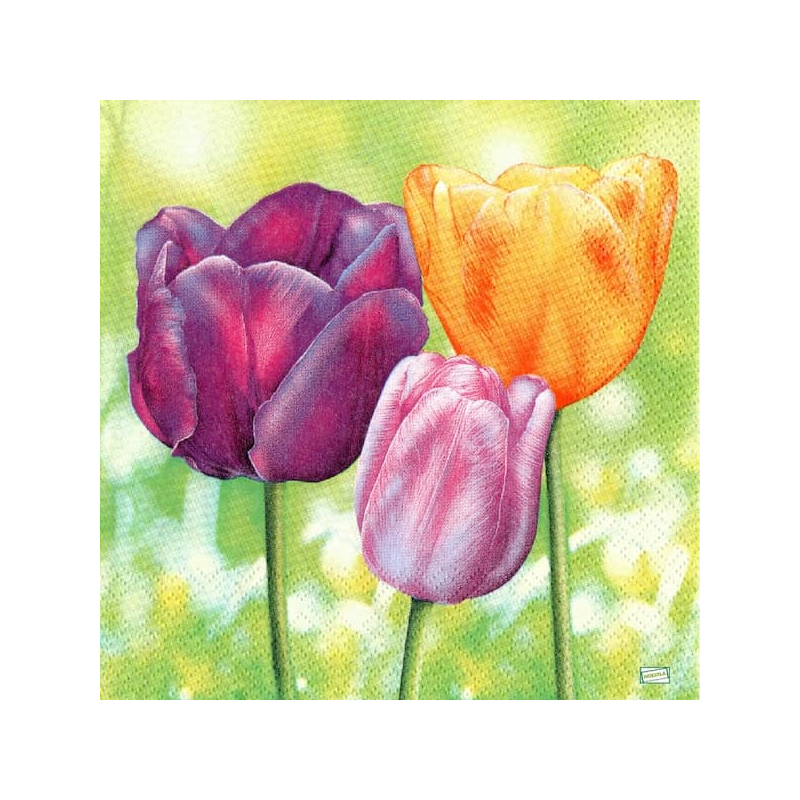 1 serviette papier Tulipes-31