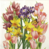 1 serviette papier Tulipes-32