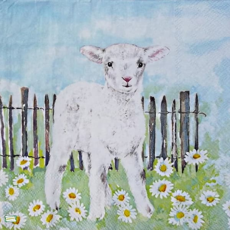1serviette papier L' agneau-48
