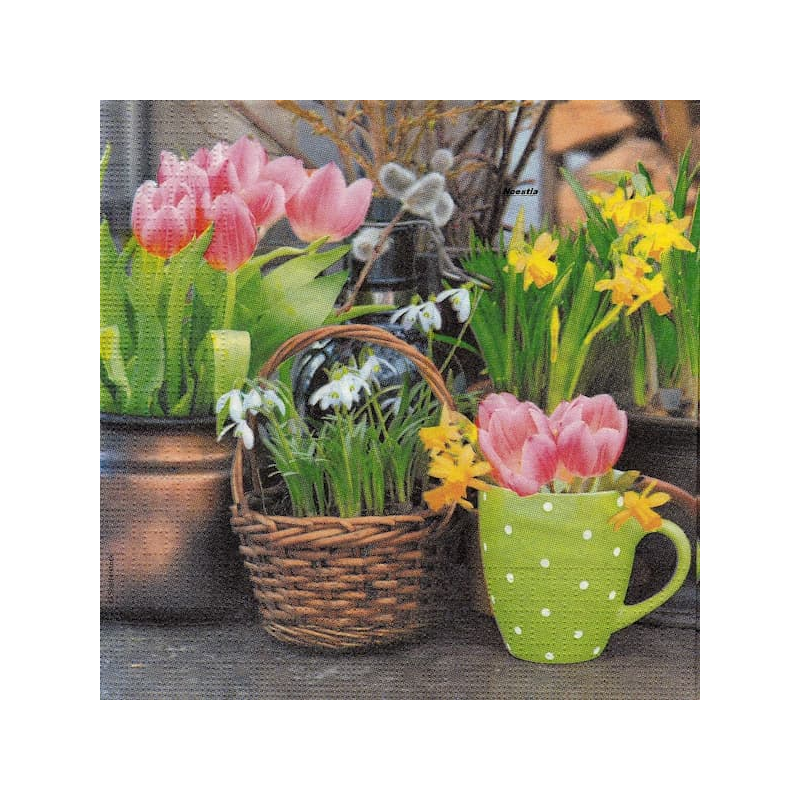 1 serviette papier Tulipes-43