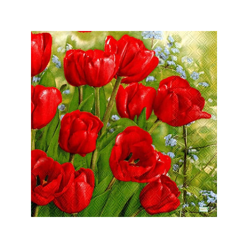1 serviette papier Tulipes-50