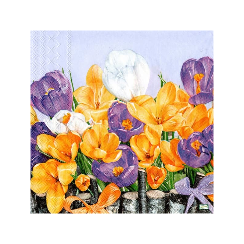 1 serviette papier Crocus-57