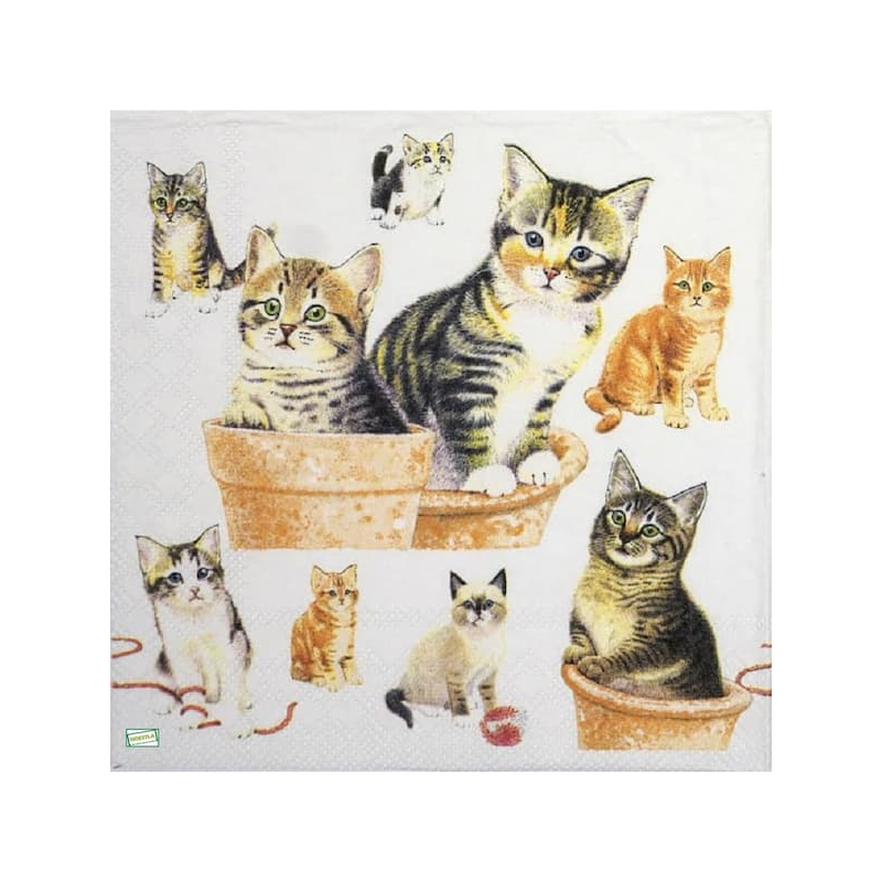 1serviette papier Châtons-6