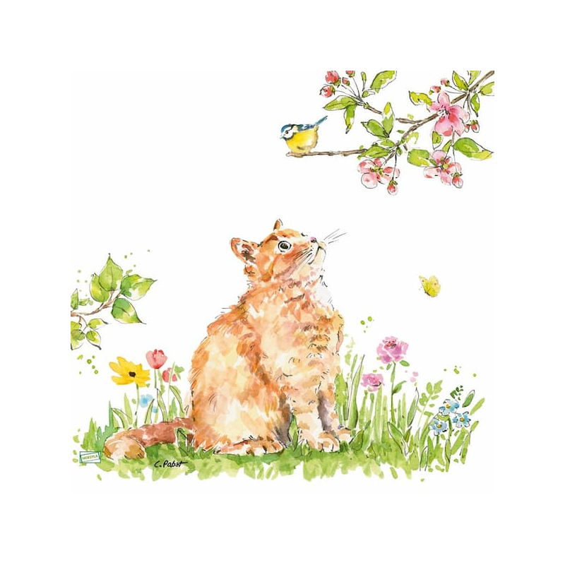 1serviette papier Chat-8
