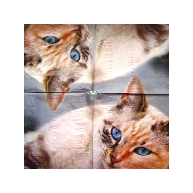 1serviette papier Chat-12