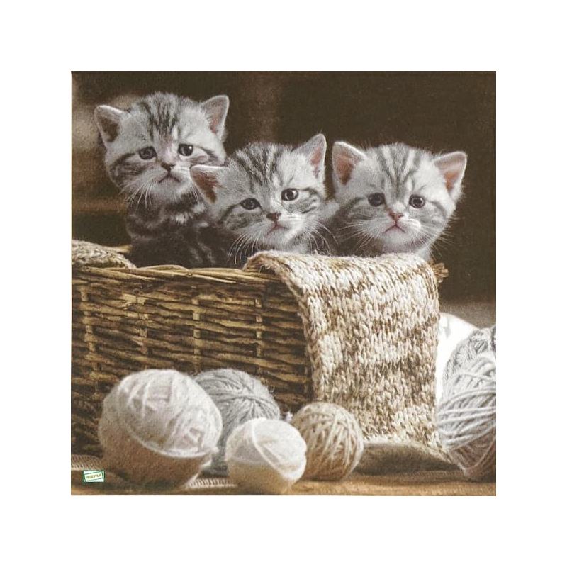 1serviette papier Châtons-13