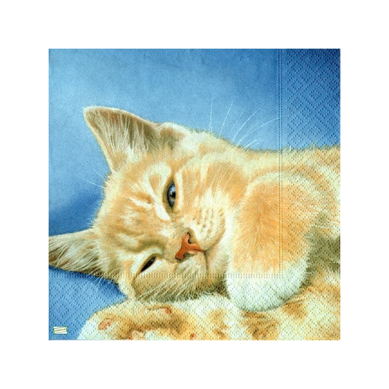 1serviette papier Chat-18