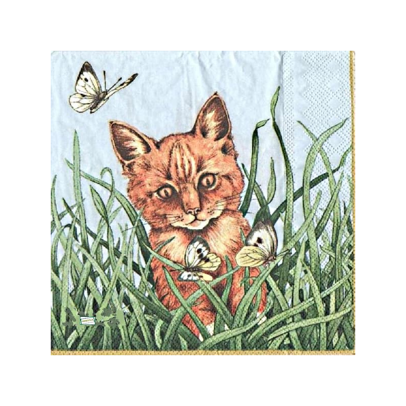 1serviette papier Châton-21