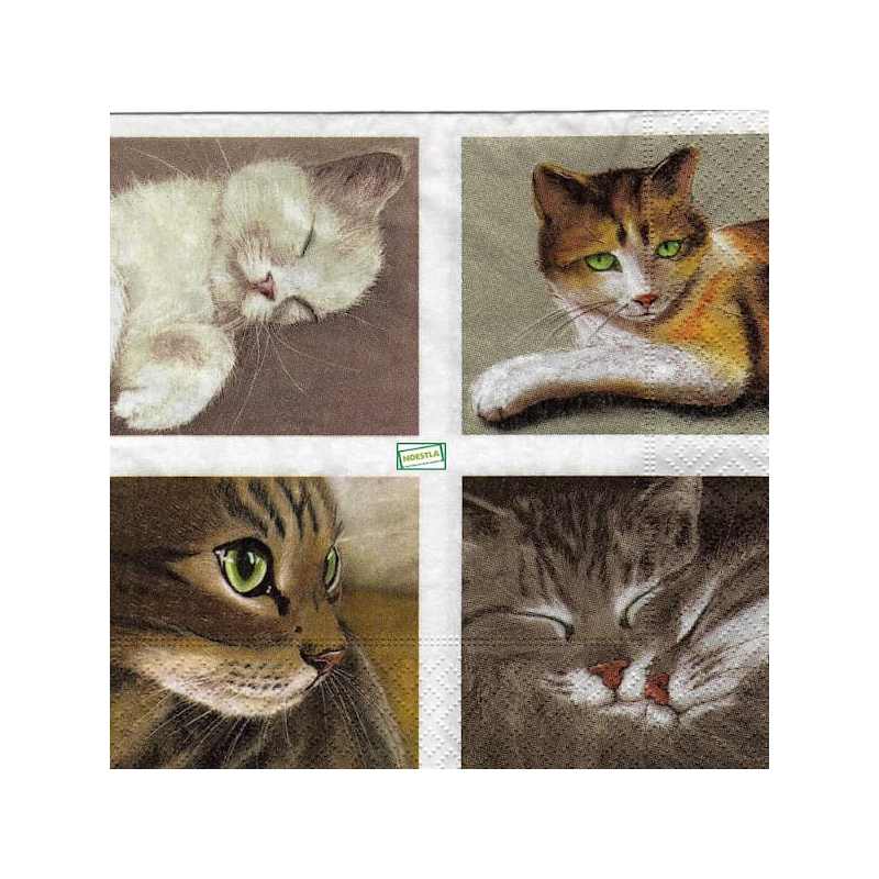 1 serviette Les Chats -18