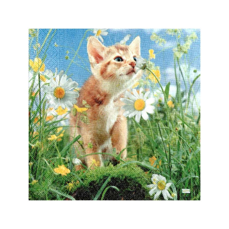 1serviette papier Chat-38