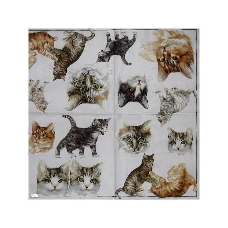 1serviette papier Châtons-41