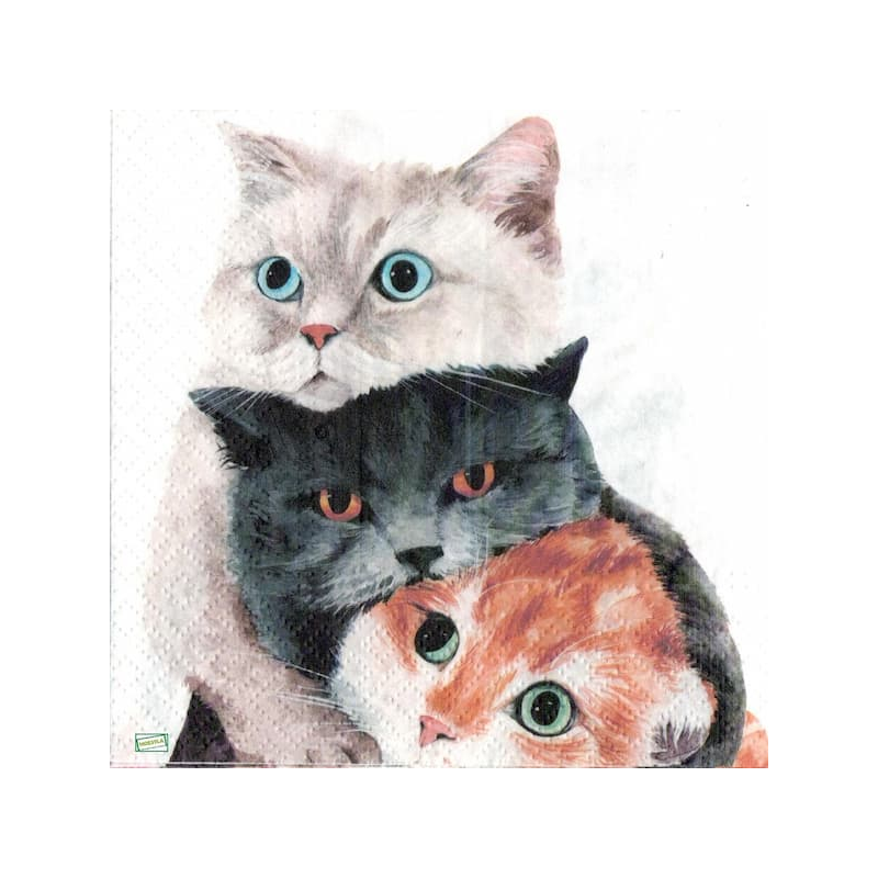 1serviette papier Chats-42