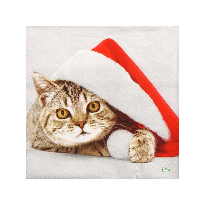 1serviette papier Chat-44