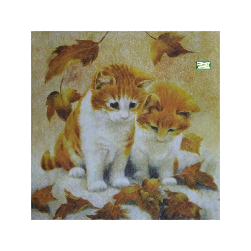 1serviette papier Châtons-47