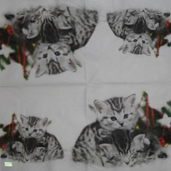 1serviette papier Châtons-51