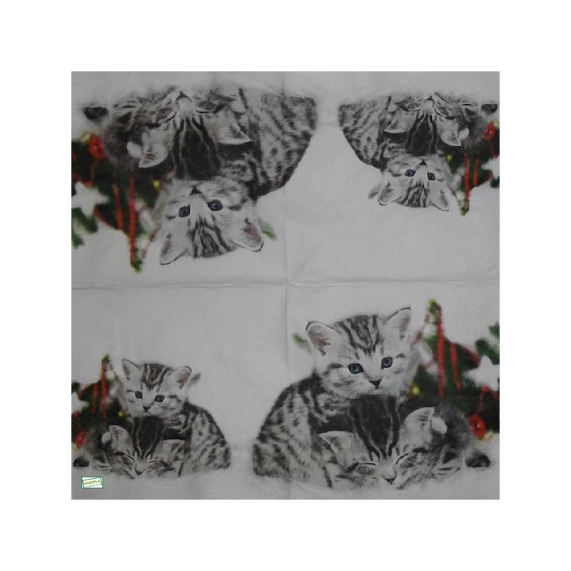 1serviette papier Châtons-51