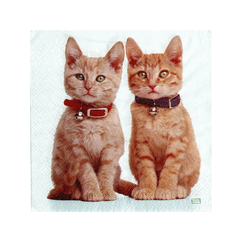 1serviette papier Chats-53
