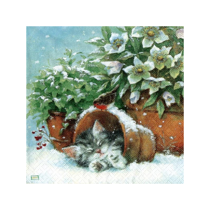 1serviette papier Châton-57