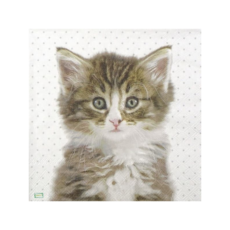 1serviette papier Châton-63