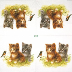 1serviette papier Châtons-72