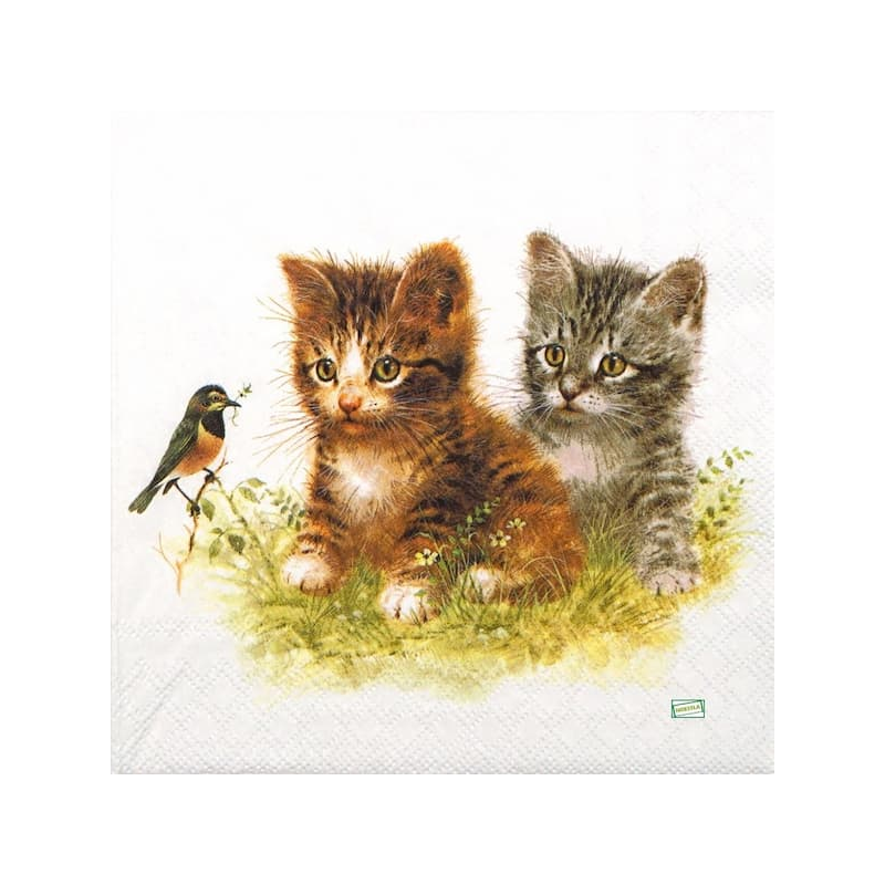 1serviette papier Châtons-72