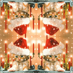 1serviette papier Châton-73