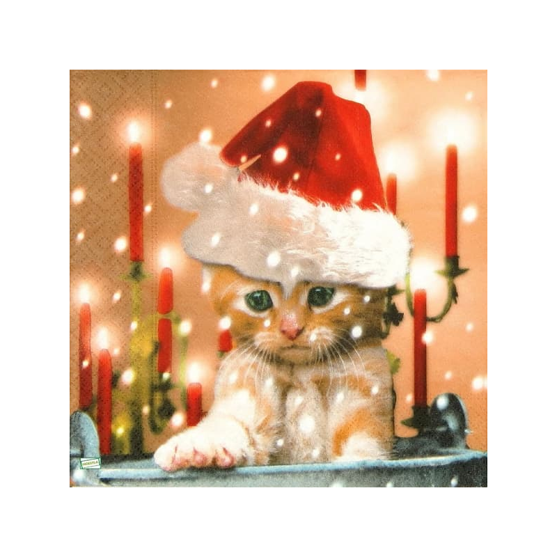 1serviette papier Châton-73