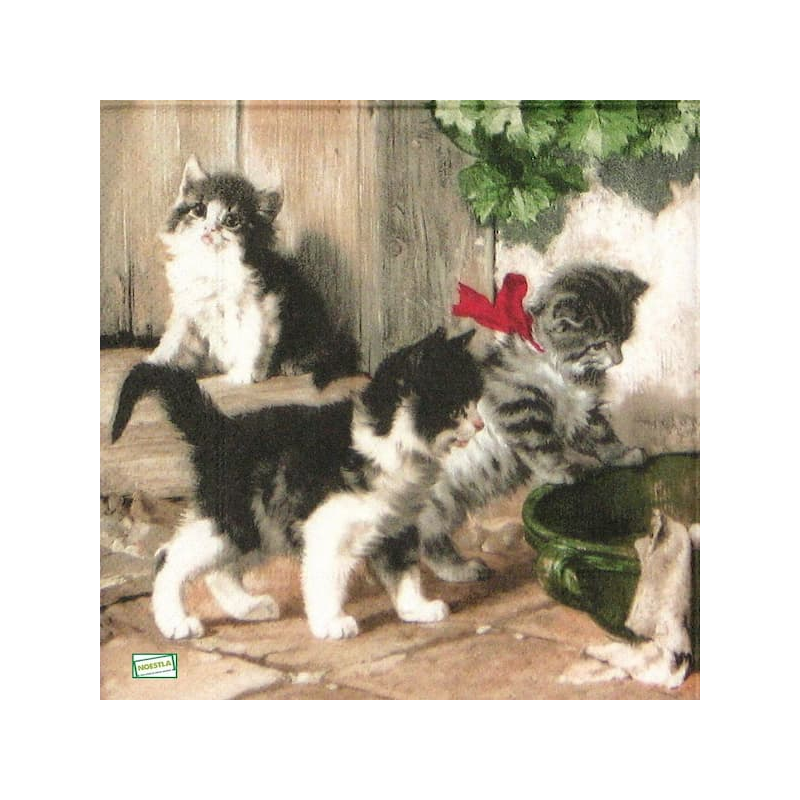 1serviette papier Châtons-74