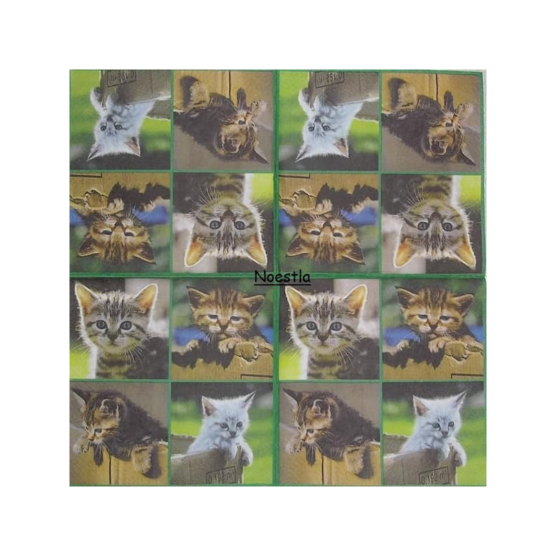 1 serviette Les chats - 27