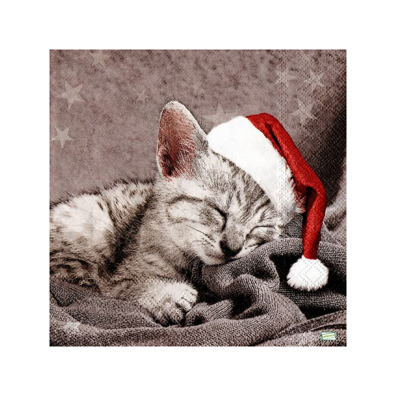 1serviette papier Châton-94