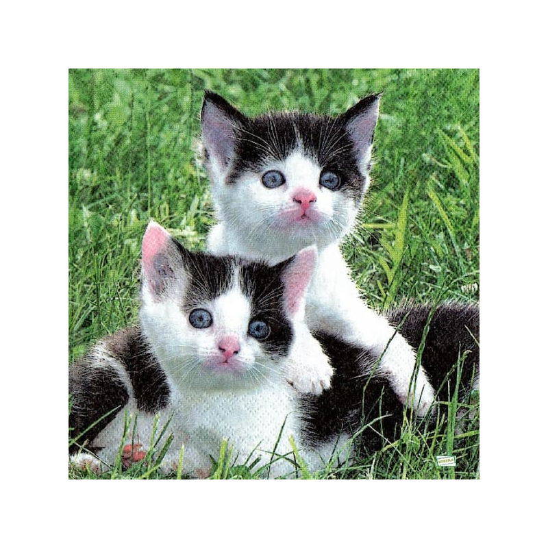 1serviette papier Châtons-113