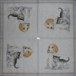 1 serviette Chat Chien -116