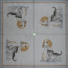 1 serviette Chat Chien -116